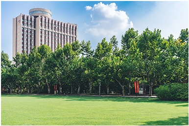 國家開放大學